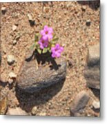 Dessert Beauty Pink Flowers And Rocks Of The Valley Metal Print