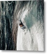 Details Of Horse's Head Metal Print