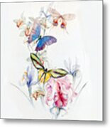 Detmold Flowers And Butterflies Metal Print