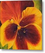 Grandpa's Pansies Metal Print