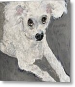 Diamonique The Poodle Metal Print