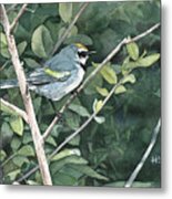 Diminishing Returns - Golden-winged Warbler Metal Print