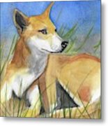 Dinggu - Wiradjuri - Dingo, Native Dog Metal Print