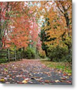 Discovery Trail In Autumn Colour Metal Print