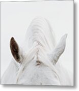 Divided Attention - Horse Art Metal Print