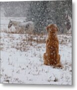 Dog And Horses In The Snow Metal Print