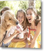 Dog Drinking Out Of A Cup At A Family Picnic. Metal Print