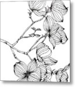 Dogwood Ii Metal Print