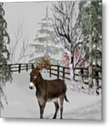 Donkey In The Winter Corral Color Metal Print