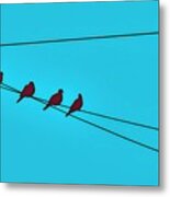 Doves On A Wire - Single Spaced Metal Print