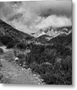 Down Into The Canyon Metal Print