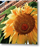 Downtown Garden Heaven Metal Print