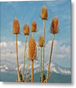 Dragon Flies And Flowers With A View Of Mt Shasta Metal Print