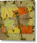 Dragonfly Fall Metal Print