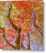 Dramatic Autumn Trees Metal Print