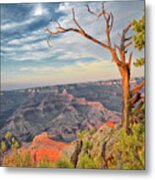 Dramatic Tree Overlooks The Grand Canyon Metal Print
