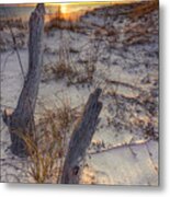 Stumps In The Sand At Sunset Metal Print