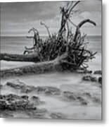 Driftwood Beach In Black And White Metal Print