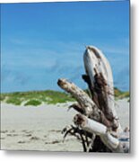 Driftwood Sculpture On North Point Metal Print