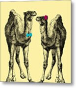 Dromedaries In Love Metal Print