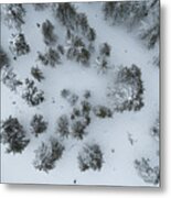 Drone Aerial Scenery Of Mountain Snowy Forest And People Playing In Snow. Wintertime Season Metal Print