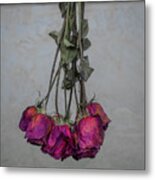 Drying Out The Red Roses Metal Print