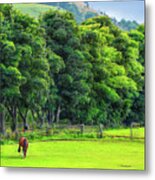 Dunbar Landscape - Scotland Metal Print