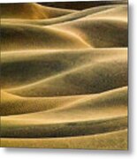 Dunes Golden Abstract Light Metal Print