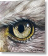 Eagle Eye Study Metal Print