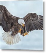 Eagle In The Clouds Metal Print