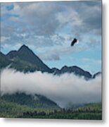 Eagle Over Southeast Alaska Metal Print