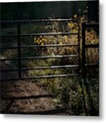 Early Light And Dew Metal Print