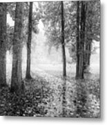 Early Morning Walk Black And White Metal Print