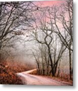 Early Winter Light In The Trees Metal Print