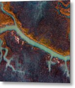 Earths Veins Metal Print