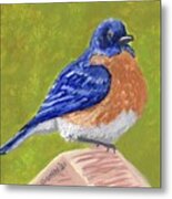 Eastern Bluebird Metal Print