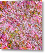 Echinacea Purpurea Metal Print