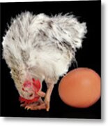 Eggstraordinary Too Metal Print