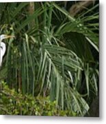 Egret In The Jungle Metal Print