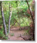 Emerald Isle Woods Trail - Early October Metal Print