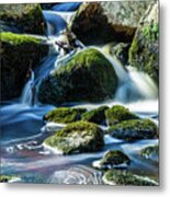 Ethereal Moss Metal Print