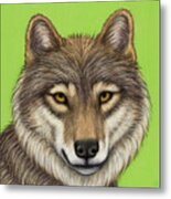 Eurasian Wolf Metal Print