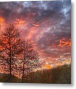 Evening Sky With Trees Metal Print
