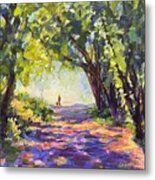 Evening Walk Metal Print