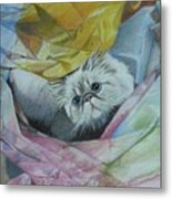 Extending A Helpful Paw Opening Packages Metal Print