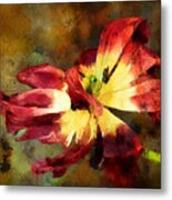 Faded Elegance Metal Print