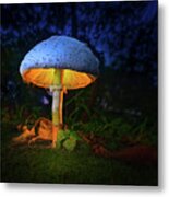 Fairy Mushroom Lantern Metal Print