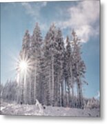 Fairy-tale Wilderness Covered In Snow Metal Print