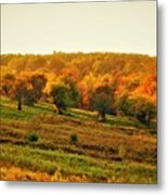 - Fall Appel Trees Metal Print