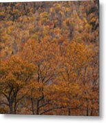 Fall Colors Along North Mountain Metal Print